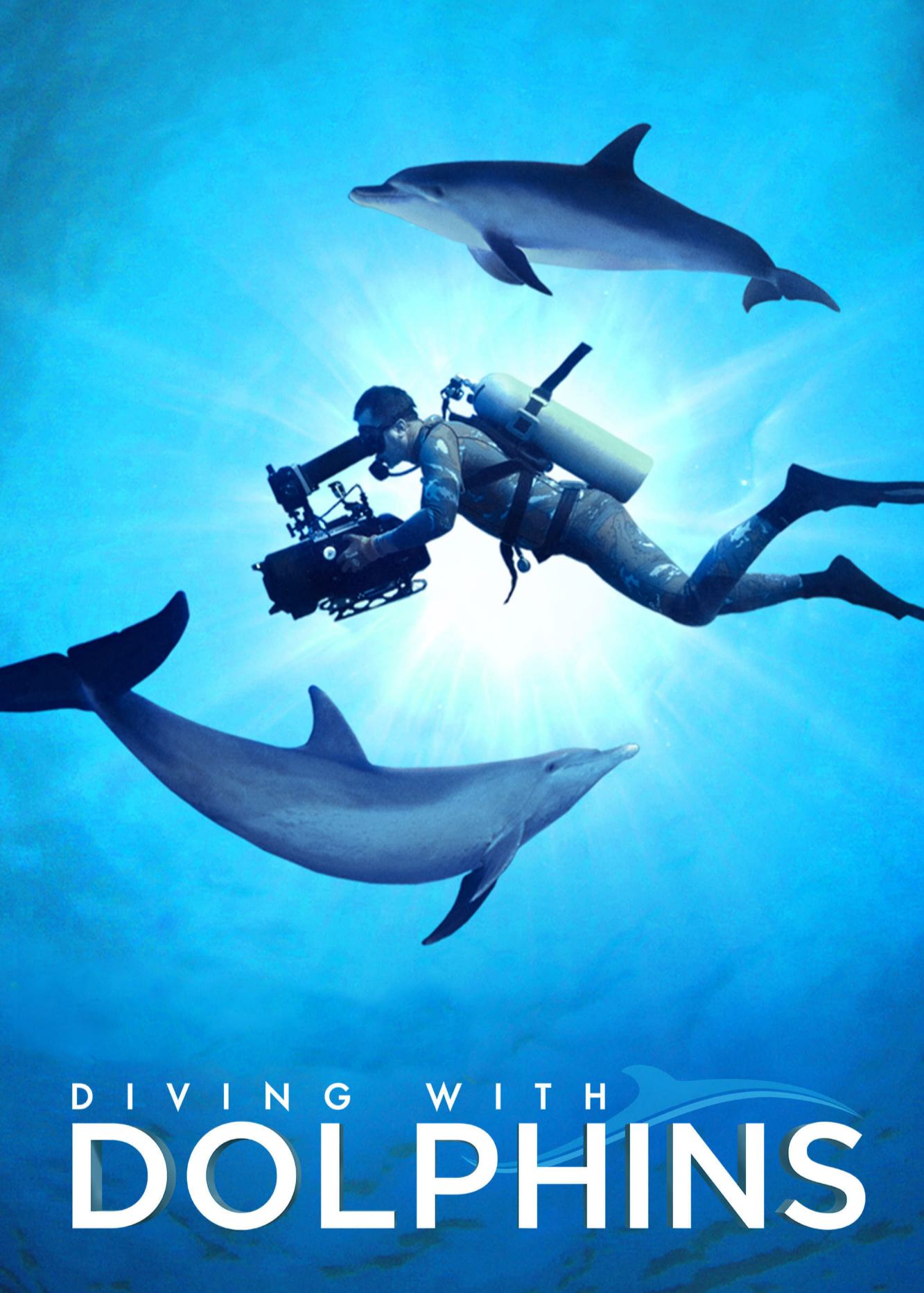 Phim Diving with Dolphins