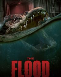 The Flood