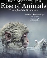 David Attenborough’s Rise of Animals: Triumph of the Vertebrates