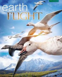 Earthflight