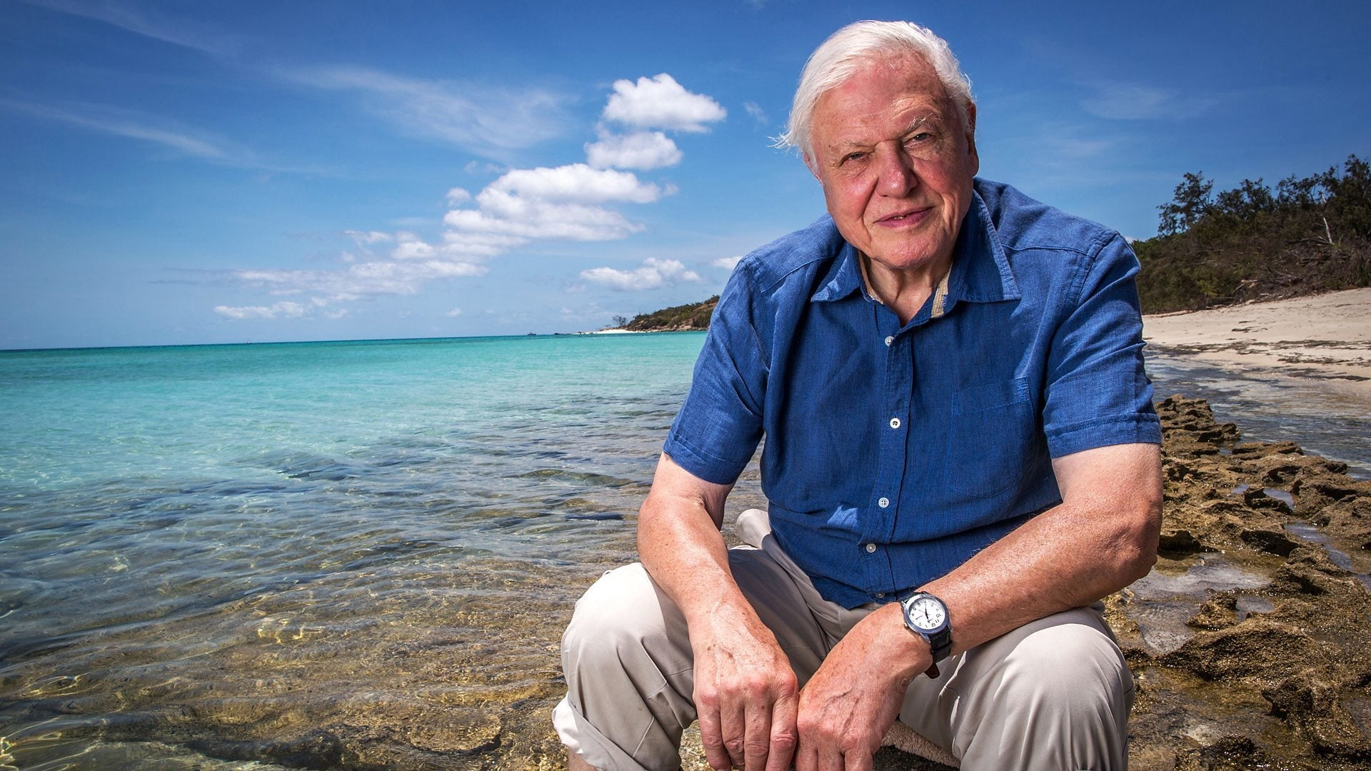 Phim Khám Phá Rạn San Hô Great Barrier cùng David Attenborough