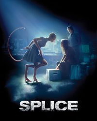 Splice