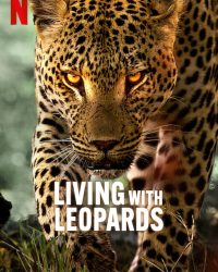 Living with Leopards